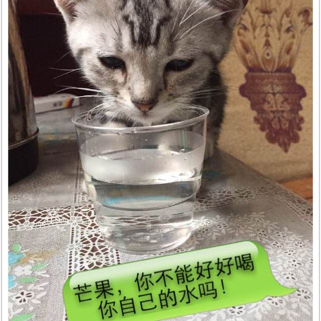 已经开了存款证明 还可以再开吗